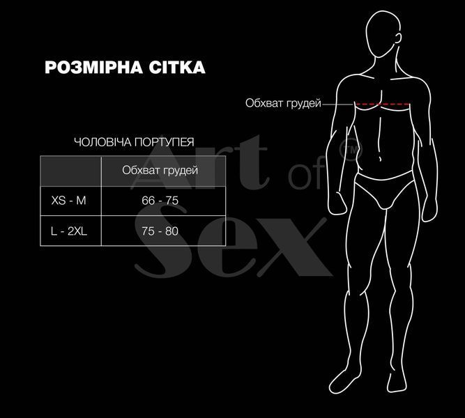 Чоловіча портупея Art of Sex - Spartacus, екошкіра, колір білий, розмір L-2XL SX3537 фото